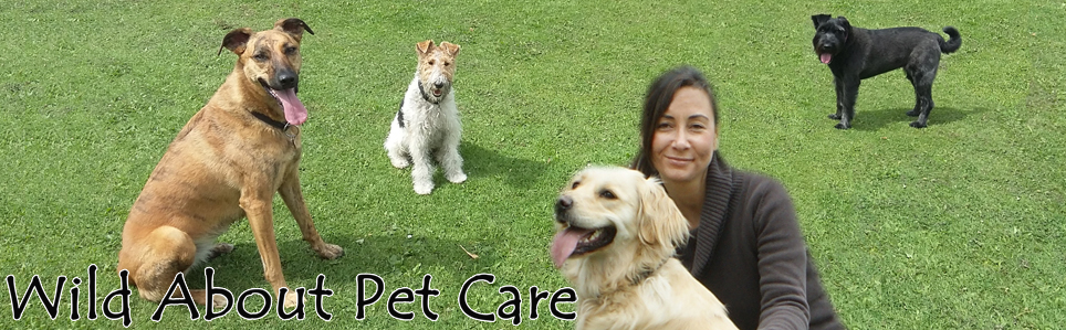 Wild About Pet Care
